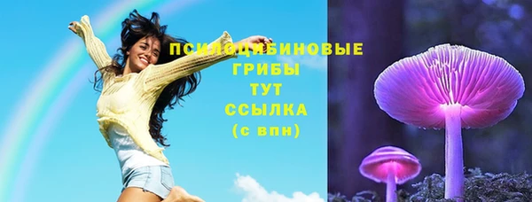 тгк Арсеньев