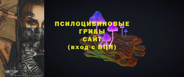spice Александровское