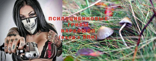 тгк Арсеньев