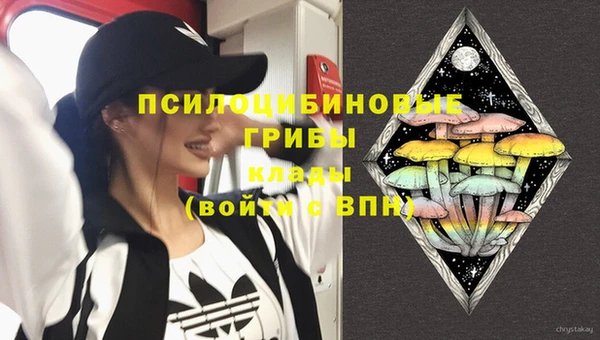 тгк Арсеньев