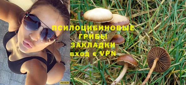 тгк Арсеньев